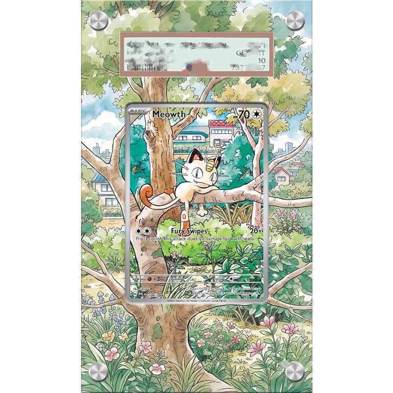 Espositore per Carte Pokemon M - Anime Merchandise From Japan recensione e prezzo