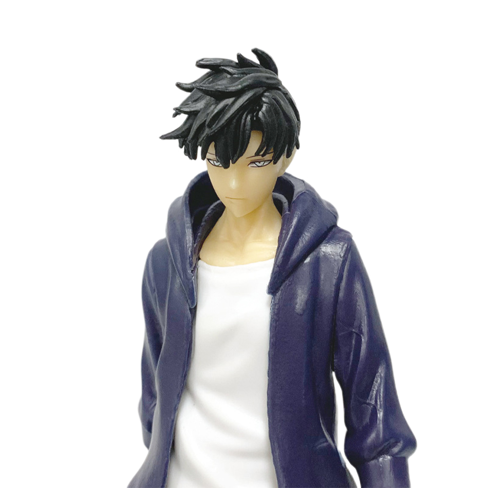 Disponibile Livellamento solis - Anime Merchandise From Japan recensione e prezzo